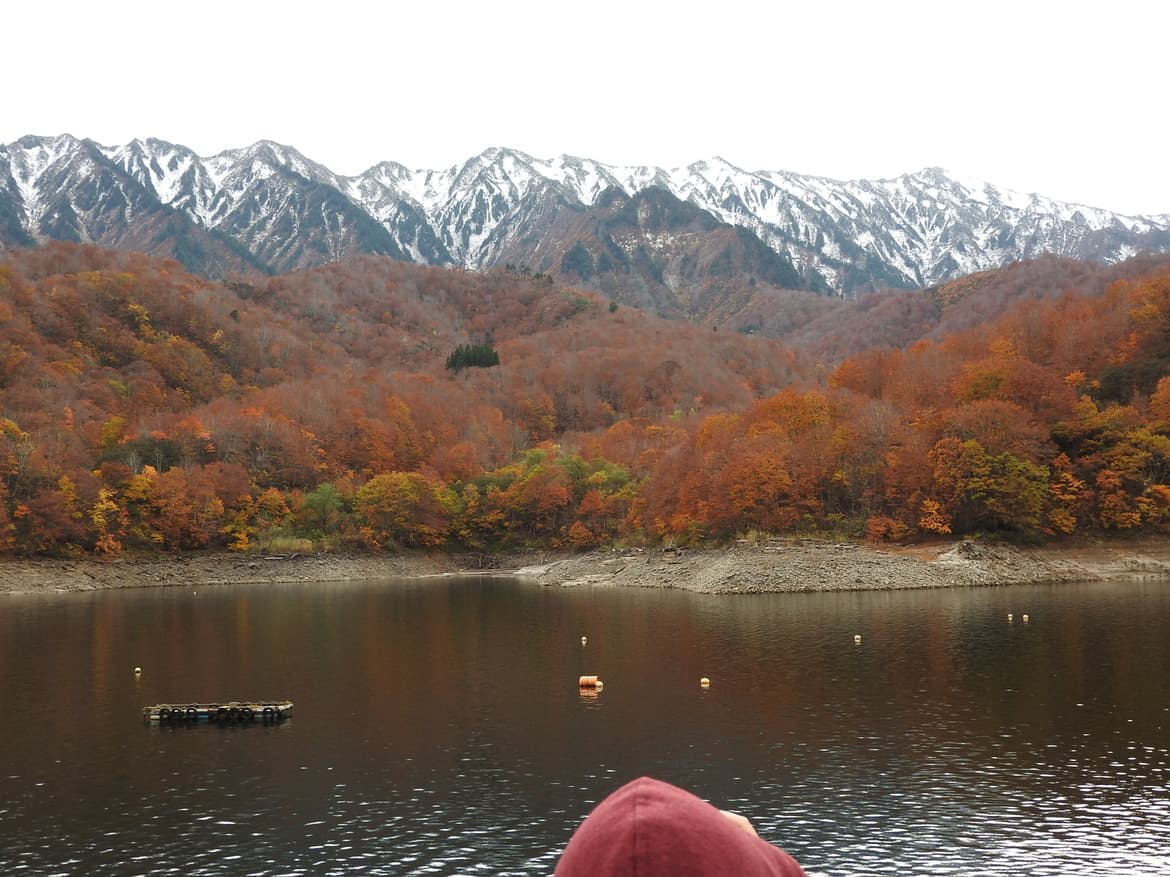dscn5379.jpg
