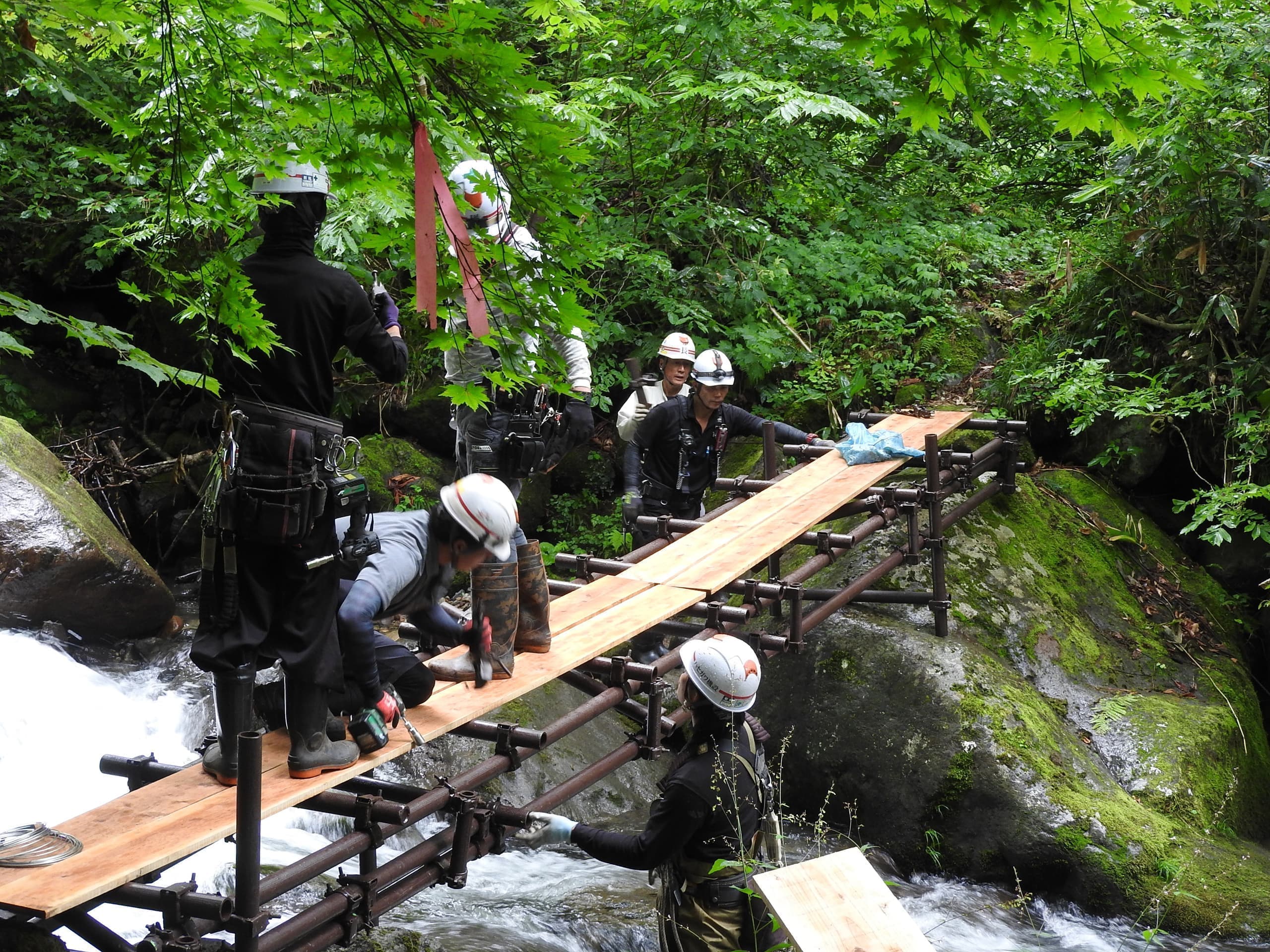 dscn5538.jpg